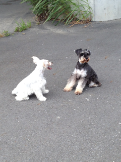 image-20130826172913.png