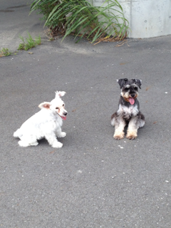 image-20130826172927.png