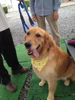 image-20130827213343.png