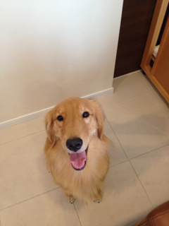 image-20130829125423.png