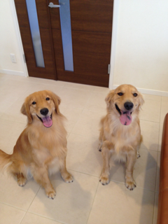 image-20130829125514.png