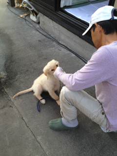 image-20130829133150.png