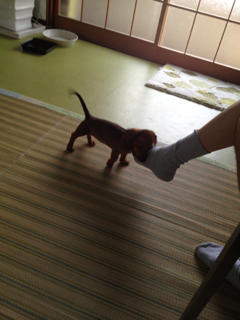 image-20130830091704.png