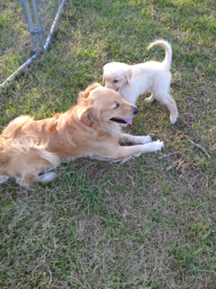 image-20130831091832.png