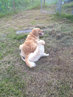 image-20130831091851.png