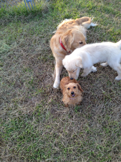 image-20130831091917.png