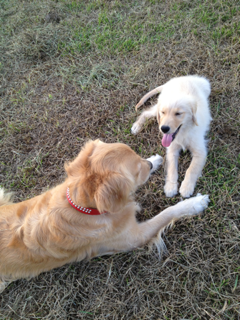 image-20130831092007.png