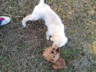 image-20130831092026.png