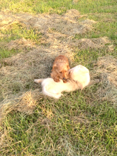 image-20130831092051.png