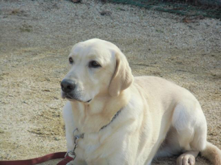 image-20131128140105.png