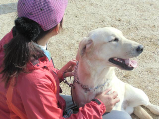 image-20131128140115.png