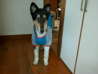 image-20131128140151.png