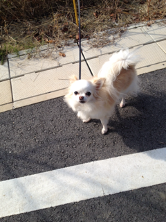 image-20131128140258.png