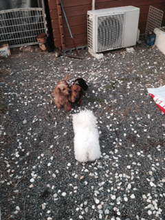 image-20140114191551.png