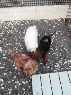 image-20140114191618.png